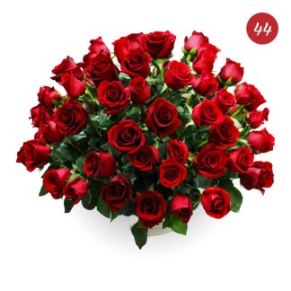 Five Dozen (60) Roses