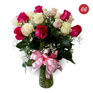 Dozen (12) Light Pink, Hot Pink and White Roses