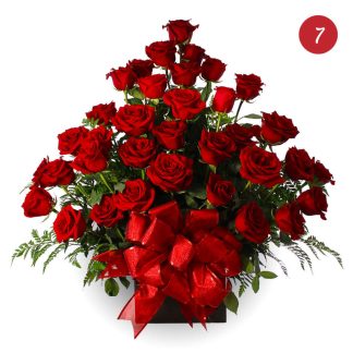 Three Dozen (36) Roses