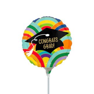 Any Occasion Pre-inflated (9 in) Stick Balloon